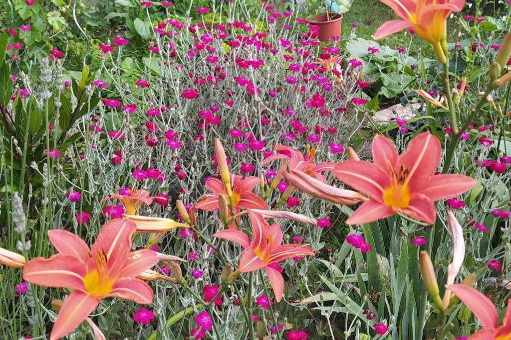Gite Les Lilas La Genevraye Ngoại thất bức ảnh